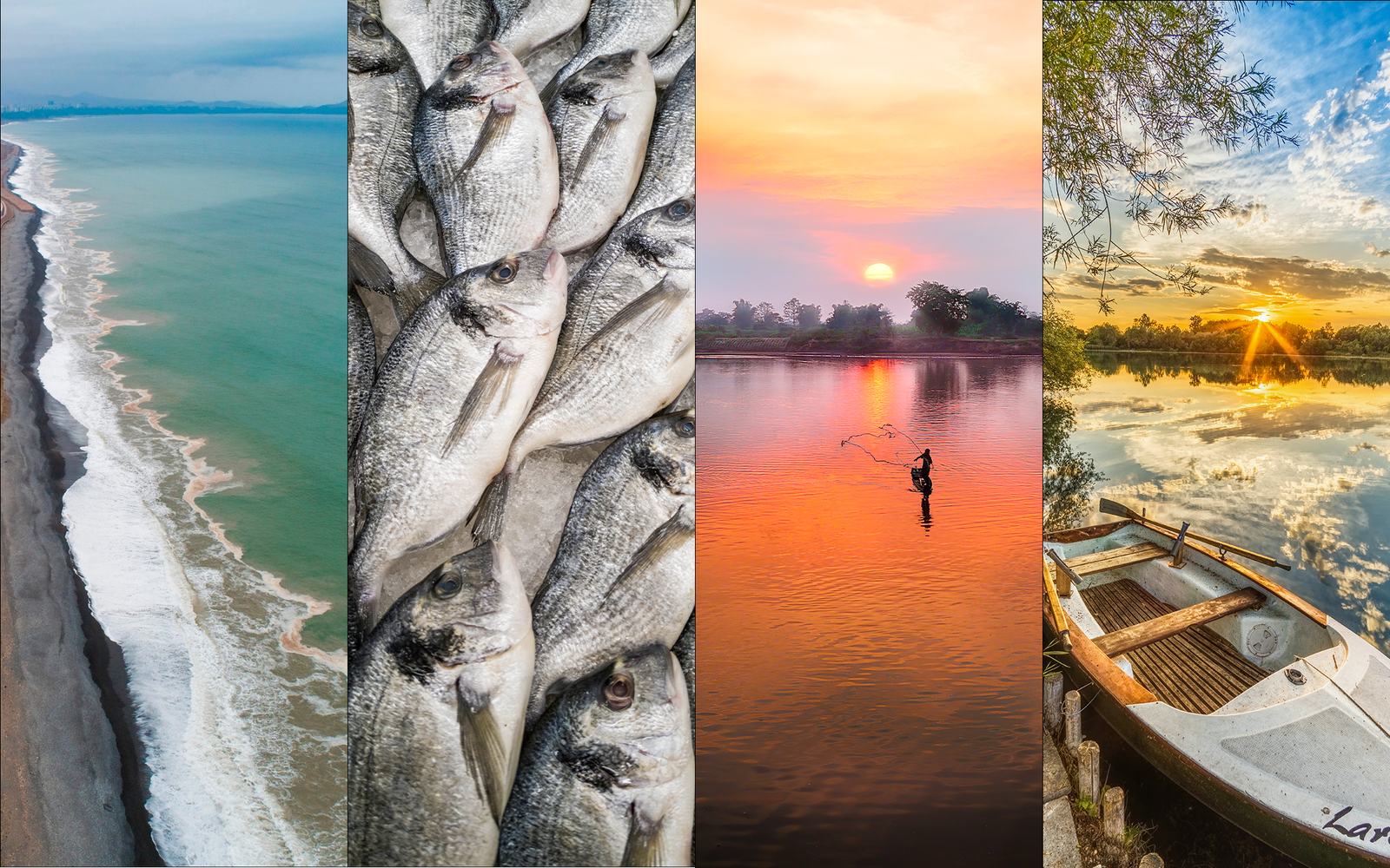 System of brand images and sizes